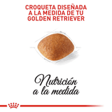 BHN GOLDEN RETRIEVER ADULT - CROQUETA.png